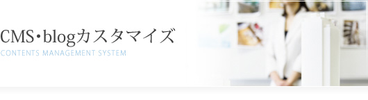 CMS・ブログカスタマイズ
